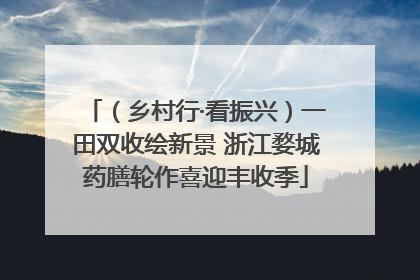 （乡村行·看振兴）一田双收绘新景 浙江婺城药膳轮作喜迎丰收季