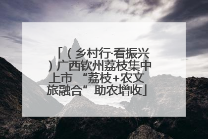 （乡村行·看振兴）广西钦州荔枝集中上市 “荔枝+农文旅融合”助农增收