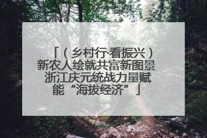（乡村行·看振兴）新农人绘就共富新图景 浙江庆元统战力量赋能“海拔经济”