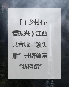 （乡村行·看振兴）江西共青城“领头雁”开辟致富“新稻路”