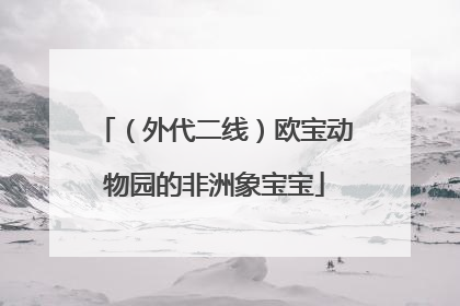 （外代二线）欧宝动物园的非洲象宝宝
