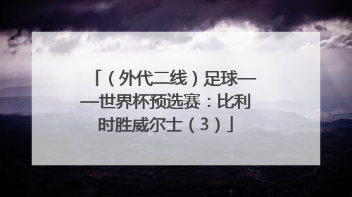 （外代二线）足球——世界杯预选赛：比利时胜威尔士（3）