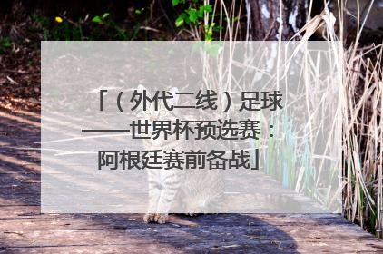 （外代二线）足球——世界杯预选赛：阿根廷赛前备战