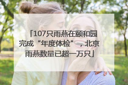 107只雨燕在颐和园完成“年度体检”，北京雨燕数量已超一万只