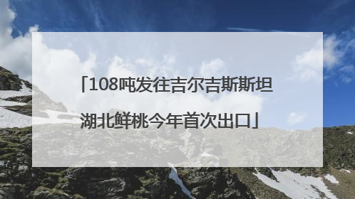 108吨发往吉尔吉斯斯坦 湖北鲜桃今年首次出口
