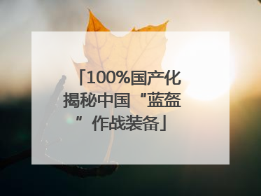 100%国产化 揭秘中国“蓝盔”作战装备