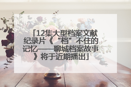 12集大型档案文献纪录片《“档”不住的记忆——聊城档案故事》将于近期播出