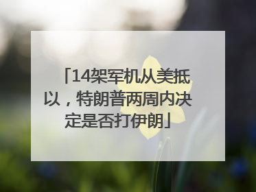 14架军机从美抵以，特朗普两周内决定是否打伊朗