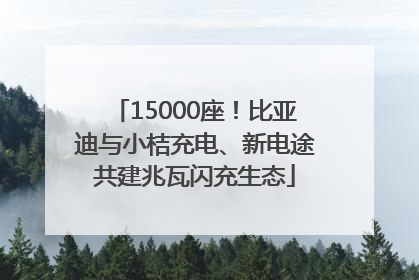 15000座！比亚迪与小桔充电、新电途共建兆瓦闪充生态