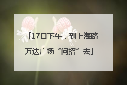 17日下午，到上海路万达广场“问招”去