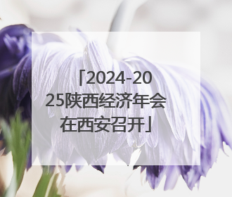 2024-2025陕西经济年会在西安召开