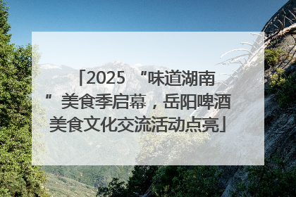 2025 “味道湖南”美食季启幕，岳阳啤酒美食文化交流活动点亮