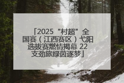 2025“村超”全国赛（江西赛区）弋阳选拔赛燃情揭幕 22支劲旅绿茵逐梦