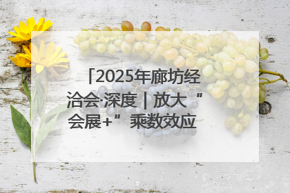 2025年廊坊经洽会·深度｜放大“会展+”乘数效应 打造消费新场景