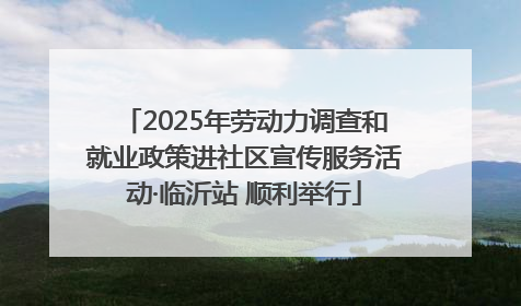 2025年劳动力调查和就业政策进社区宣传服务活动·临沂站 顺利举行