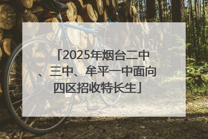 2025年烟台二中、三中、牟平一中面向四区招收特长生