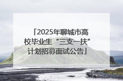 2025年聊城市高校毕业生“三支一扶”计划招募面试公告