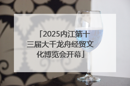 2025内江第十三届大千龙舟经贸文化博览会开幕
