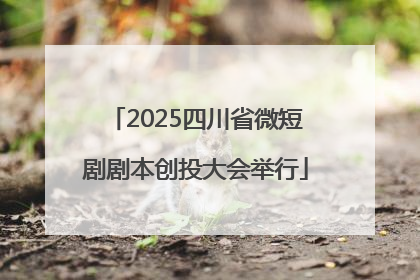 2025四川省微短剧剧本创投大会举行
