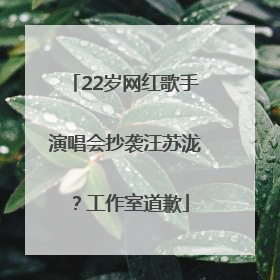 22岁网红歌手演唱会抄袭汪苏泷？工作室道歉