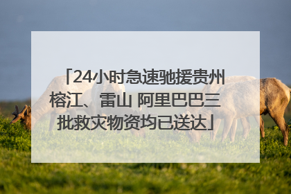 24小时急速驰援贵州榕江、雷山 阿里巴巴三批救灾物资均已送达