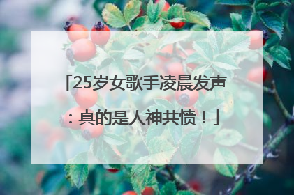 25岁女歌手凌晨发声：真的是人神共愤！