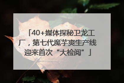 40+媒体探秘卫龙工厂，第七代魔芋爽生产线迎来首次“大检阅”