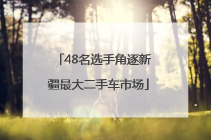 48名选手角逐新疆最大二手车市场