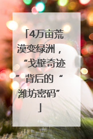 4万亩荒漠变绿洲，“戈壁奇迹”背后的“潍坊密码”