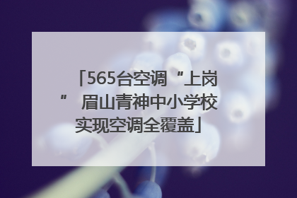 565台空调“上岗” 眉山青神中小学校实现空调全覆盖
