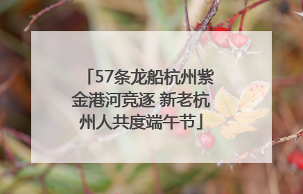 57条龙船杭州紫金港河竞逐 新老杭州人共度端午节