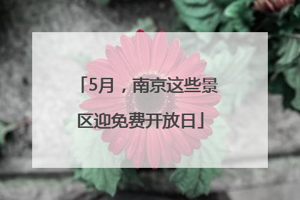 5月，南京这些景区迎免费开放日