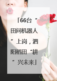 66台“田间机器人”上岗，泗阳稻田“耕”兴未来