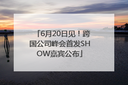 6月20日见！跨国公司峰会首发SHOW嘉宾公布