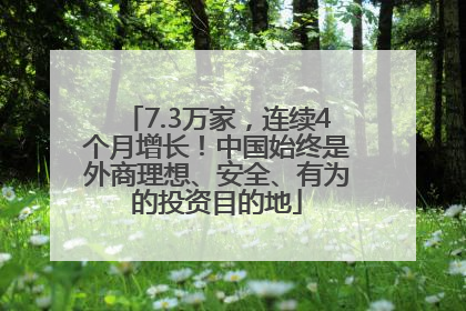 7.3万家，连续4个月增长！中国始终是外商理想、安全、有为的投资目的地