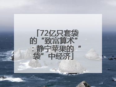 72亿只套袋的“致富算术”：静宁苹果的“袋”中经济