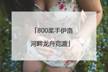 800桨手伊洛河畔龙舟竞渡