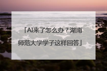 AI来了怎么办？湖南师范大学学子这样回答