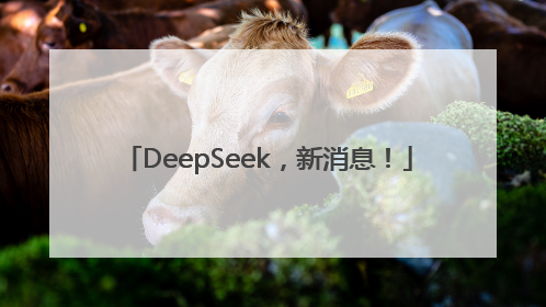 DeepSeek，新消息！