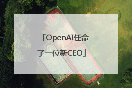 OpenAI任命了一位新CEO