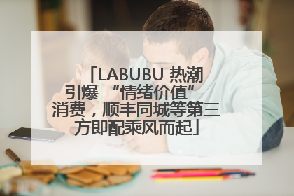 LABUBU 热潮引爆 “情绪价值” 消费，顺丰同城等第三方即配乘风而起