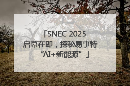 SNEC 2025启幕在即，探秘易事特“AI+新能源”